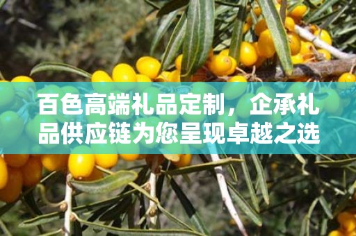 百色高端礼品定制，企承礼品供应链为您呈现卓越之选